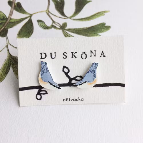 Nötväcka