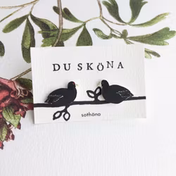 Sothöna