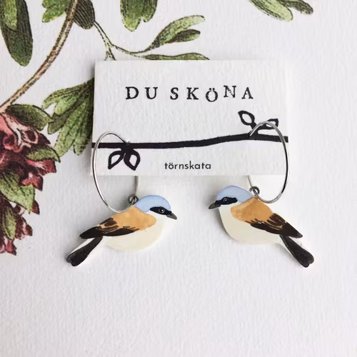 Törnskata