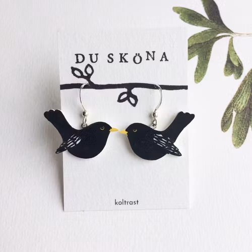 Koltrast