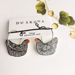 Höna, plymouth rock