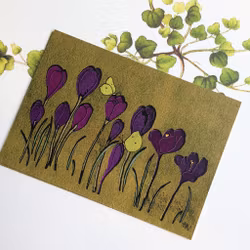 Krokus