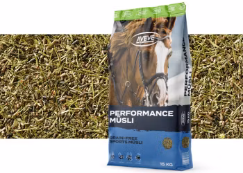 AVEVE Performance Müsli