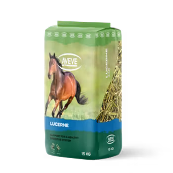 AVEVE Lucerne