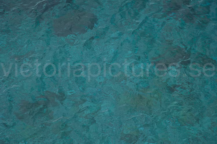 Sea bottom