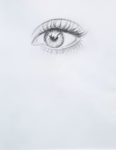 Eye