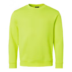 Sweatshirt 240