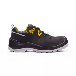 Grady Safety Shoe, Monitor