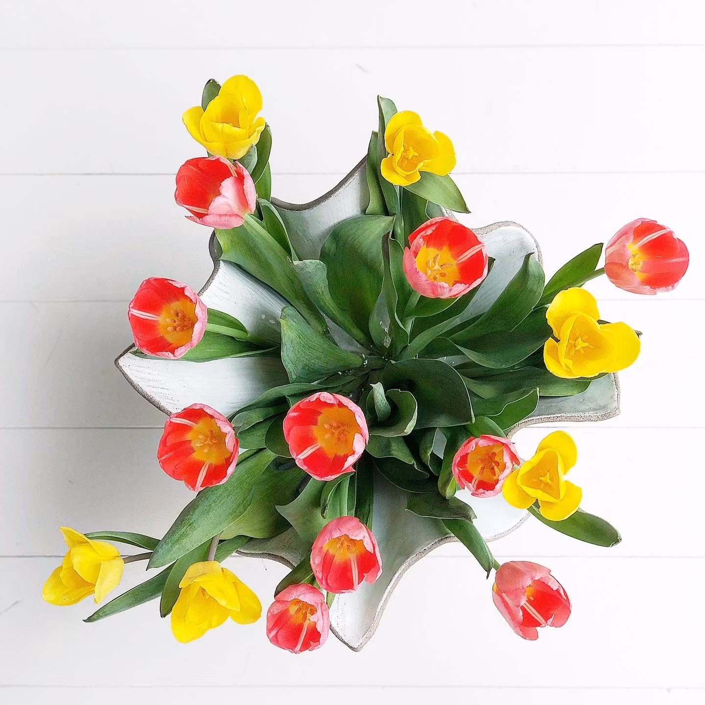 Tulip vas, GUL SAND