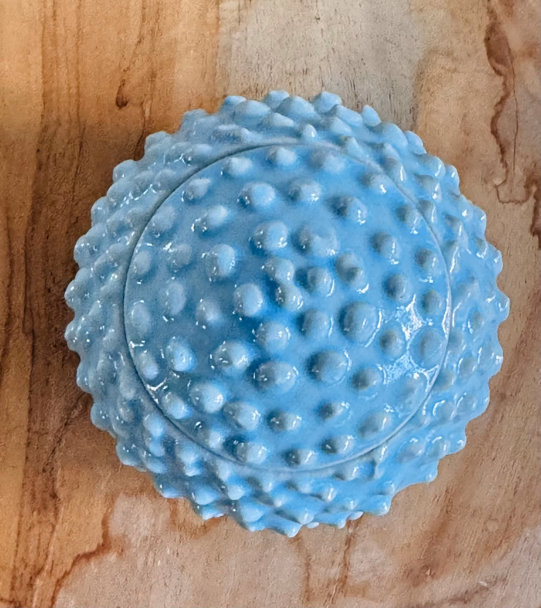 Taggig ask, Liten (flera färger)