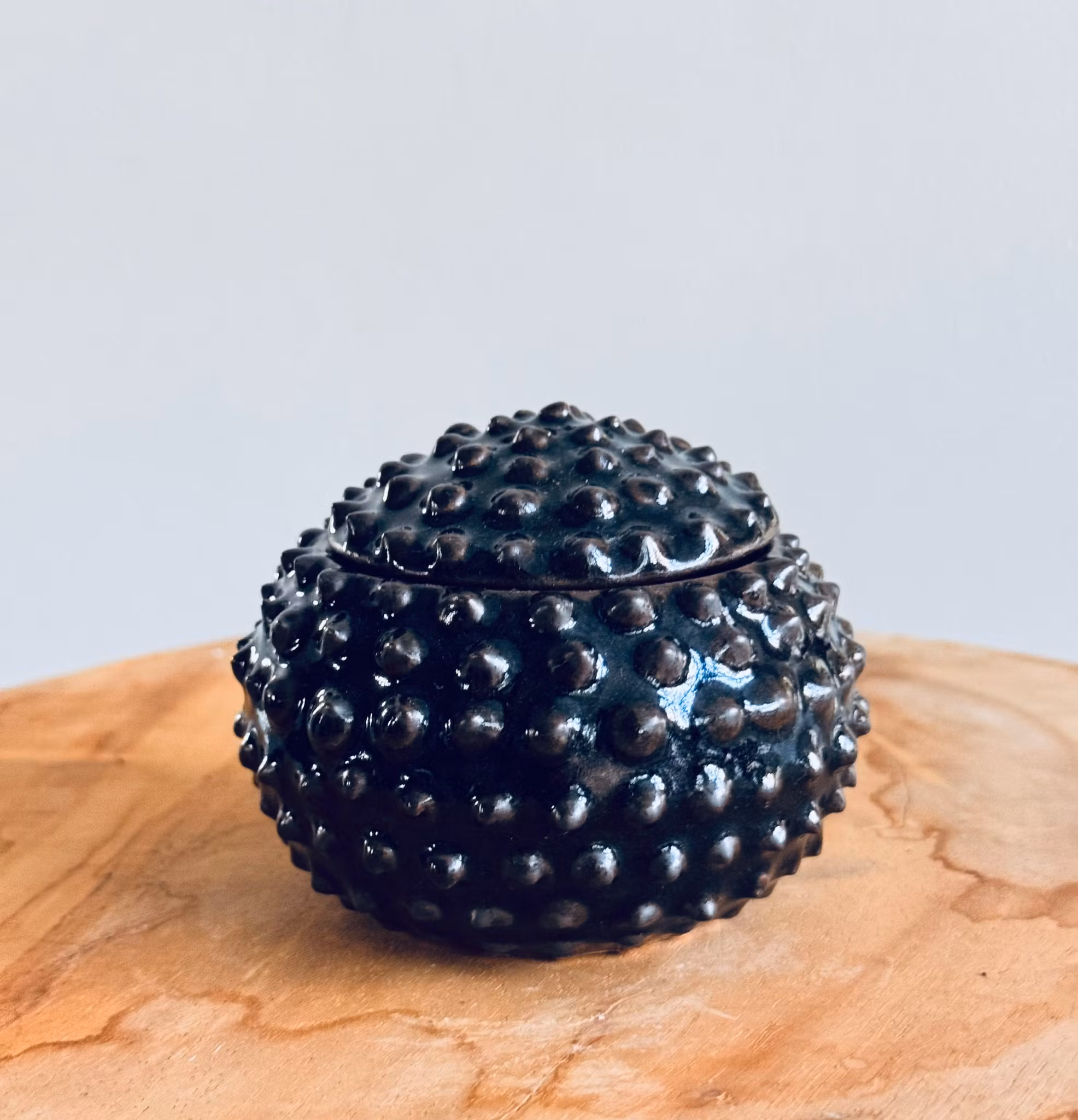 Taggig ask, Liten (flera färger)