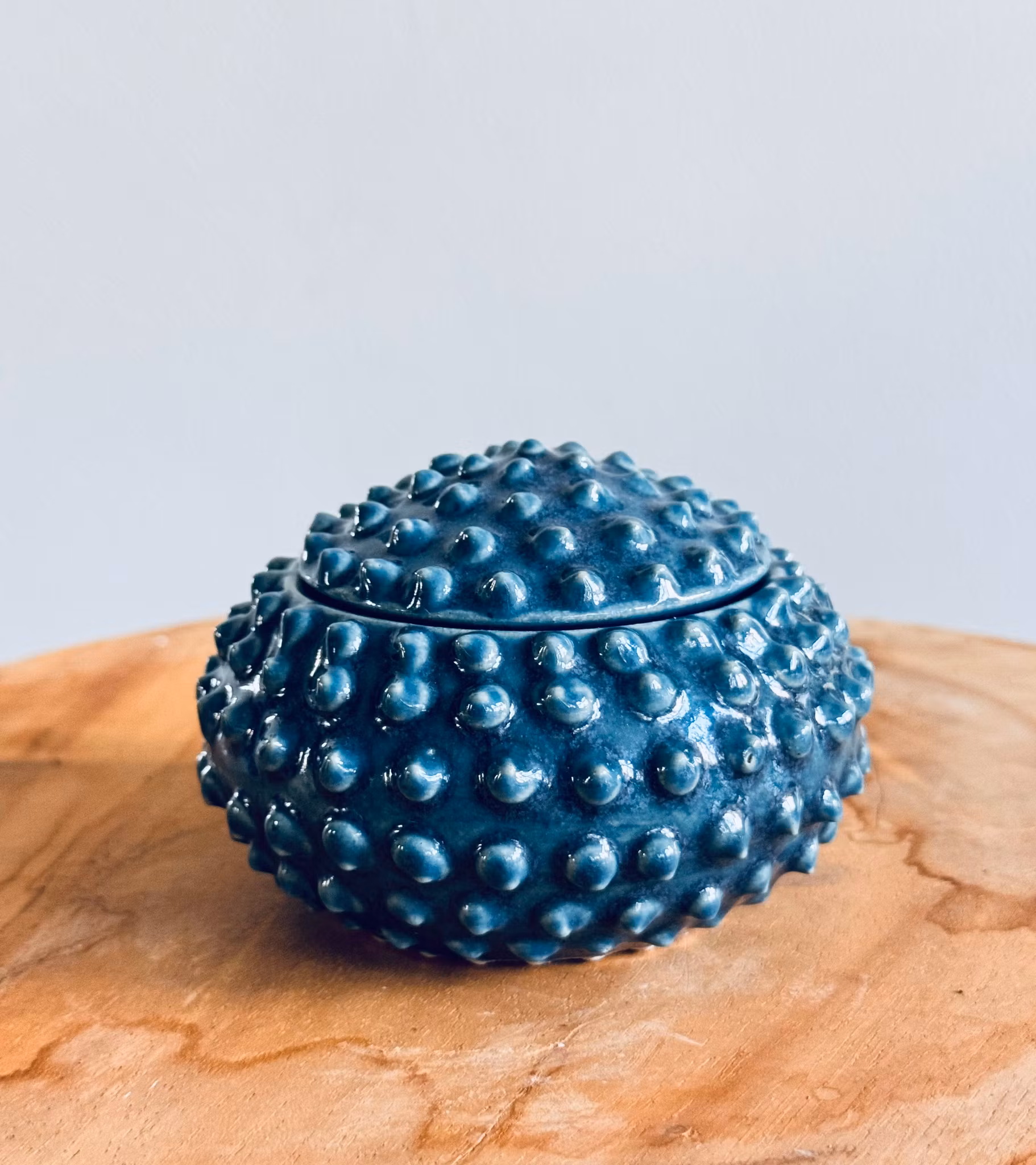 Taggig ask, Liten (flera färger)