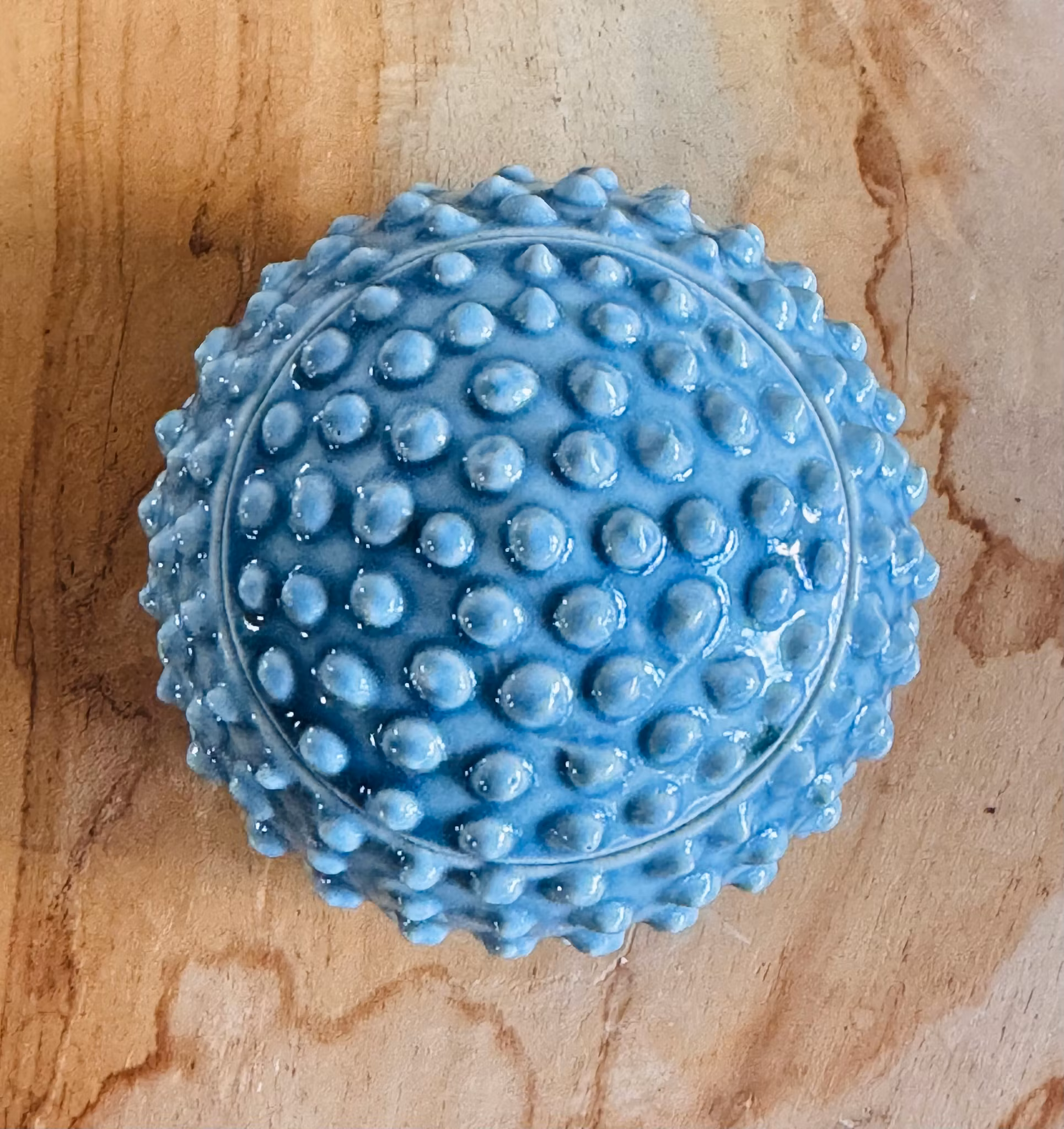 Taggig ask, Liten (flera färger)