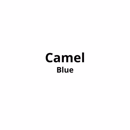 Camel Blue – 20pk x 10 stk Kartong