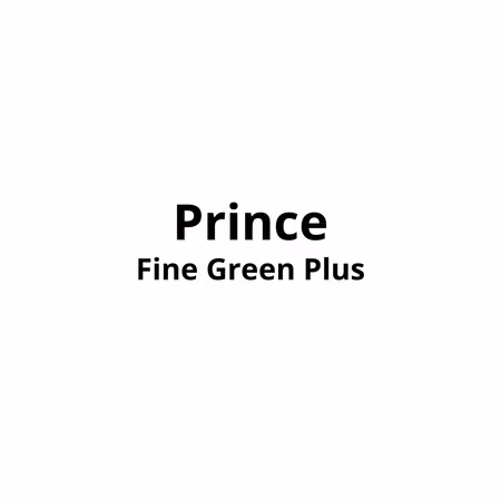 Prince Fine Green Plus 20pk×10 stk Kartong
