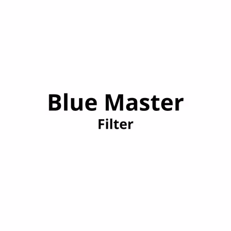 Blue Master Filter 20pk x 10stk Kartong