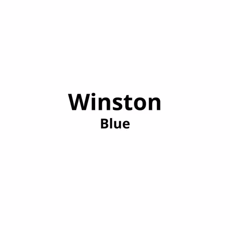 Winston Blue 20pk x 10stk Kartong
