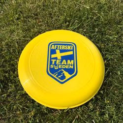 Frisbee - Summer Survival