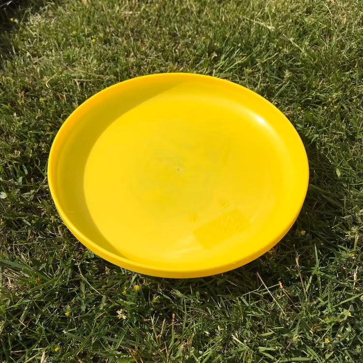 Frisbee - Summer Survival