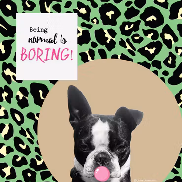 HerrCules Poster #4 "Being normal is boring"