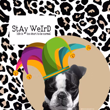 HerrCules Poster #6 "Stay weird, life is too short to be normal"