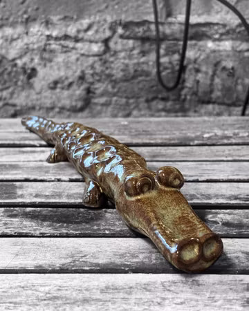 KROKODIL med tålamod