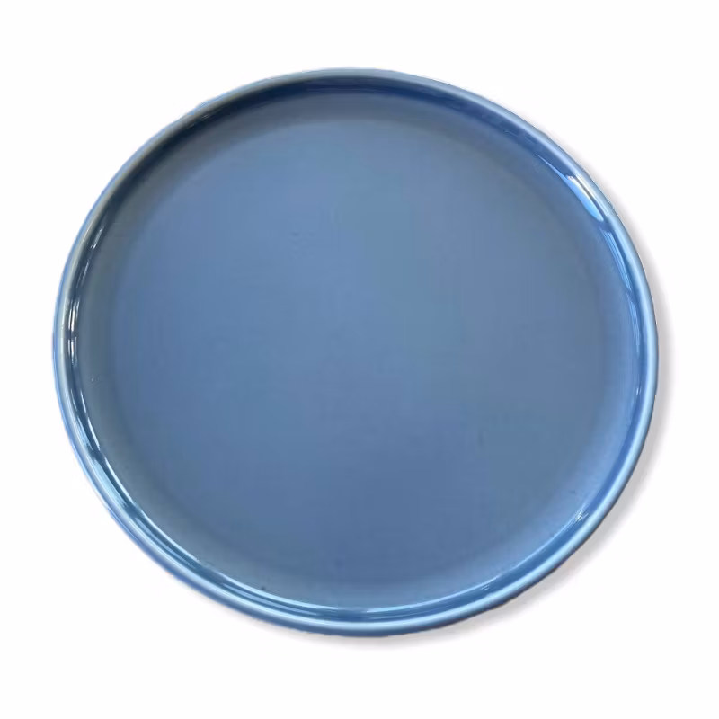 Tallrik flat rund gråblå 20cm, 24st