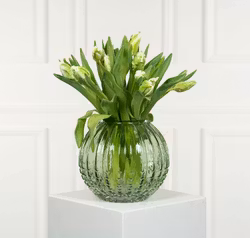 Vas Allium Grön