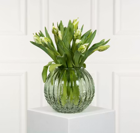 Vas Allium Grön
