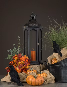 Pumpkin Orange Poly
