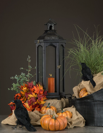 Pumpkin Orange Poly