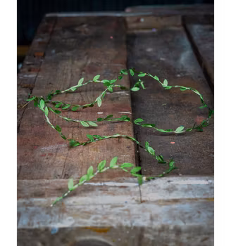 Ljusslinga LED Lingonris