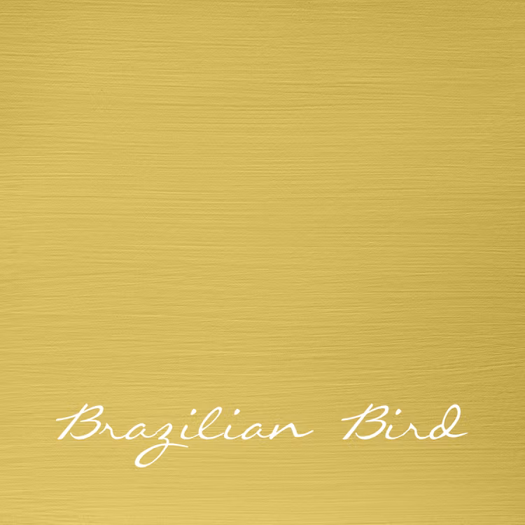 Brazilian Bird "Autentico Versante"