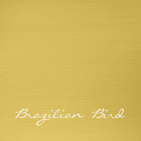 Brazilian Bird "Autentico Versante"