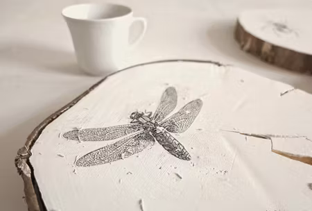 Art Medium 250ml "Image Transfer"