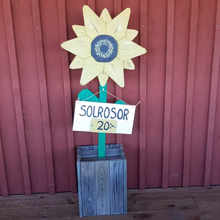 Solros i trä "Sunflower"