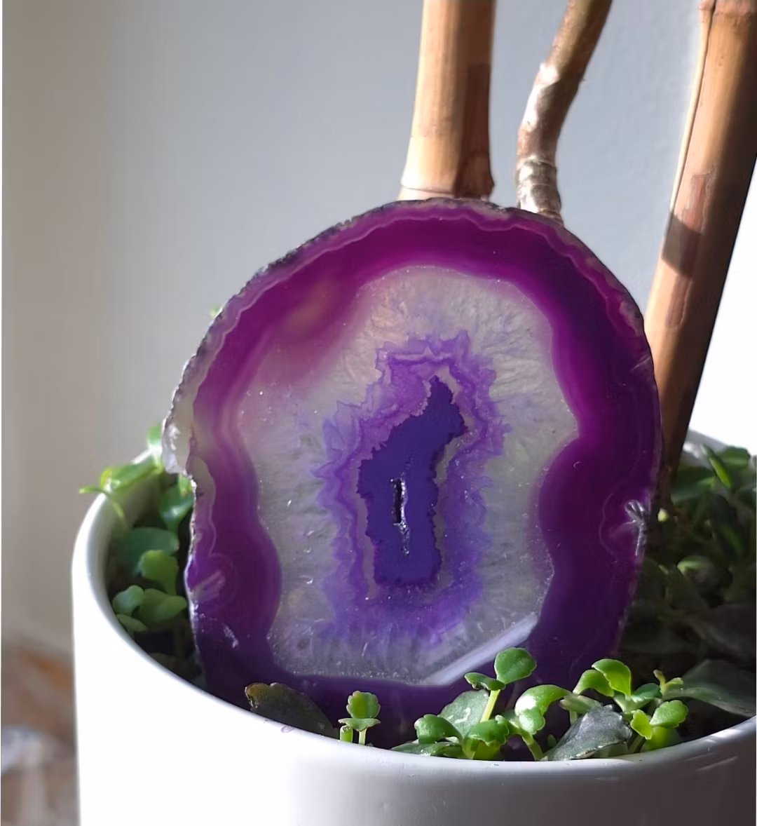 Lila Agatplatta Nr 1