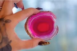 Rosa Fuchsia Agatplatta Nr 2