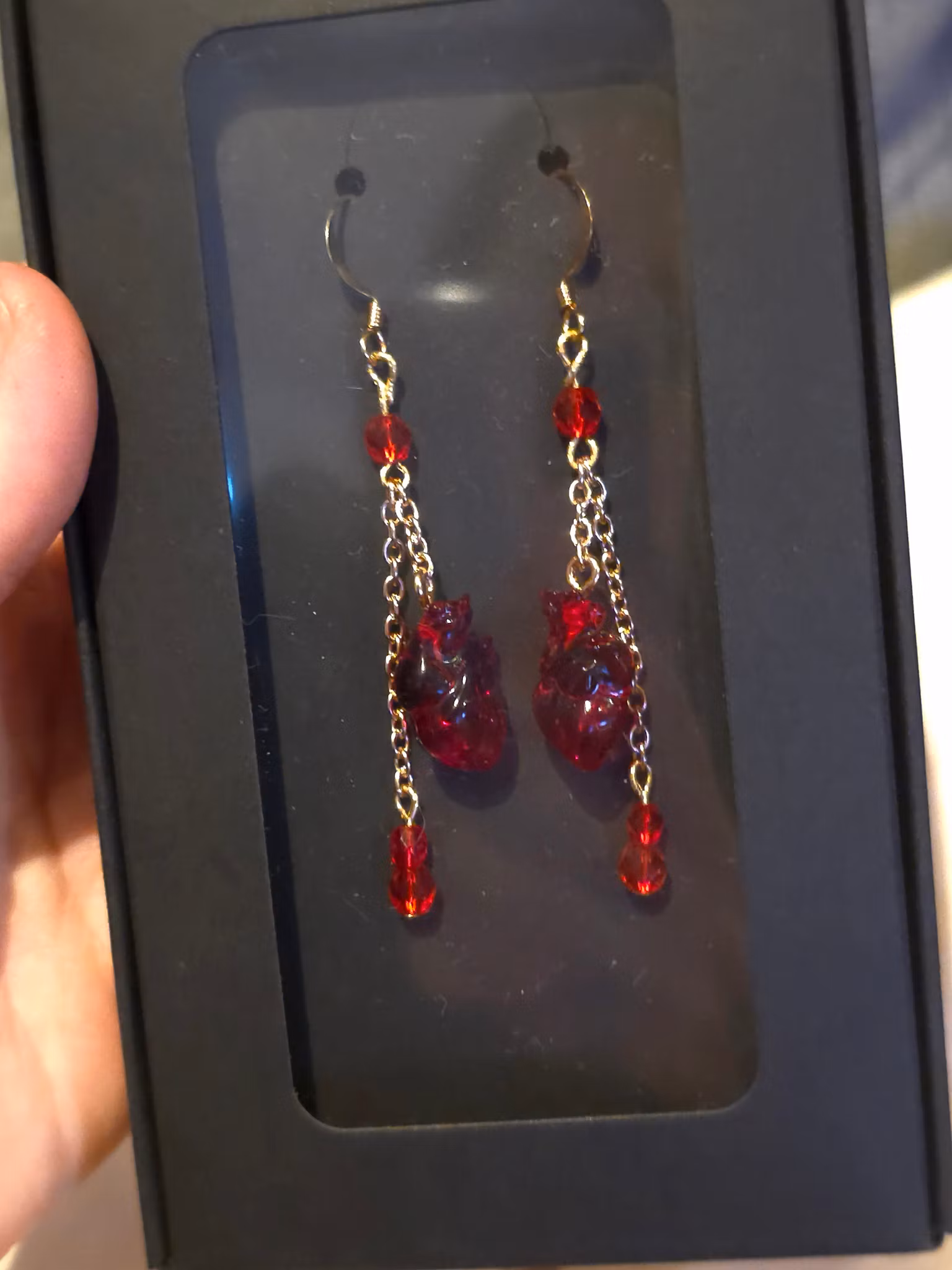 Anatomiska Hjärtan Hängande