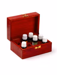 Liten Mangoträ Låda