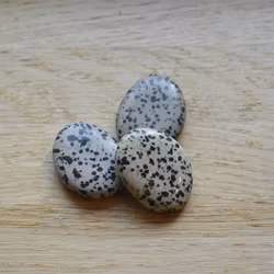 Dalmatinerjaspis Handsten