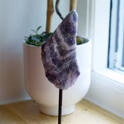 Rå Bandametist På Ställning