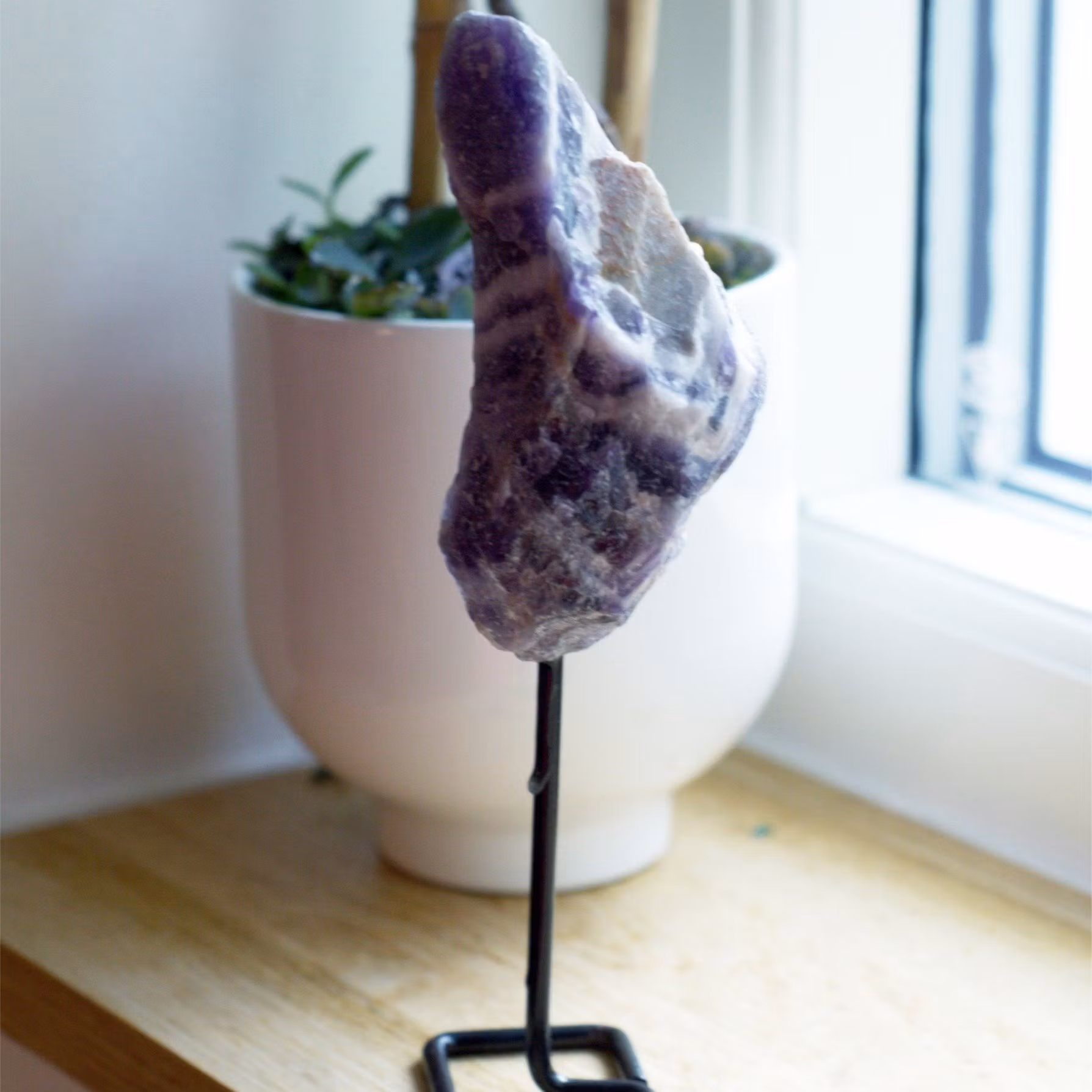 Rå Bandametist På Ställning