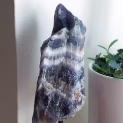 Rå Bandametist På Ställning