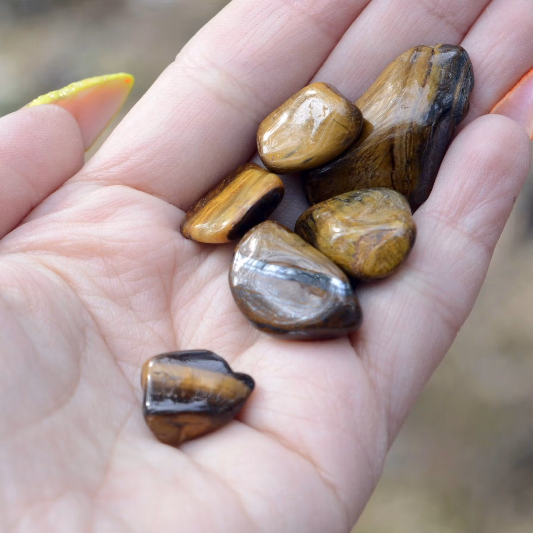 Tigeröga Trumlad 2-3 cm