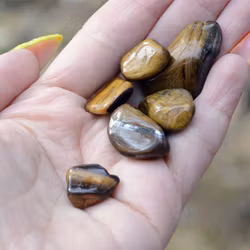 Tigeröga Trumlad 2-3 cm