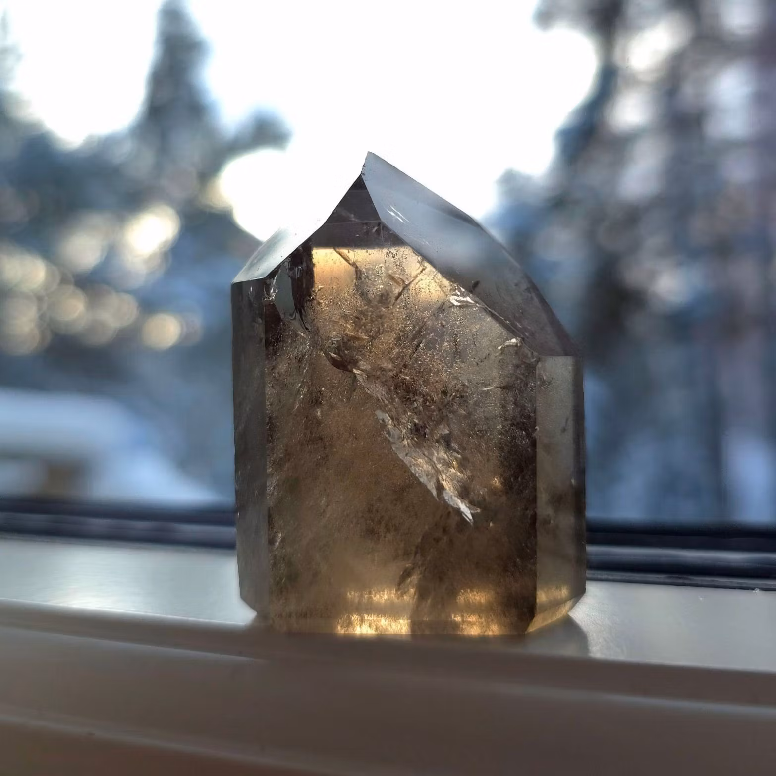 Rökkvarts Spets Med Regnbågar