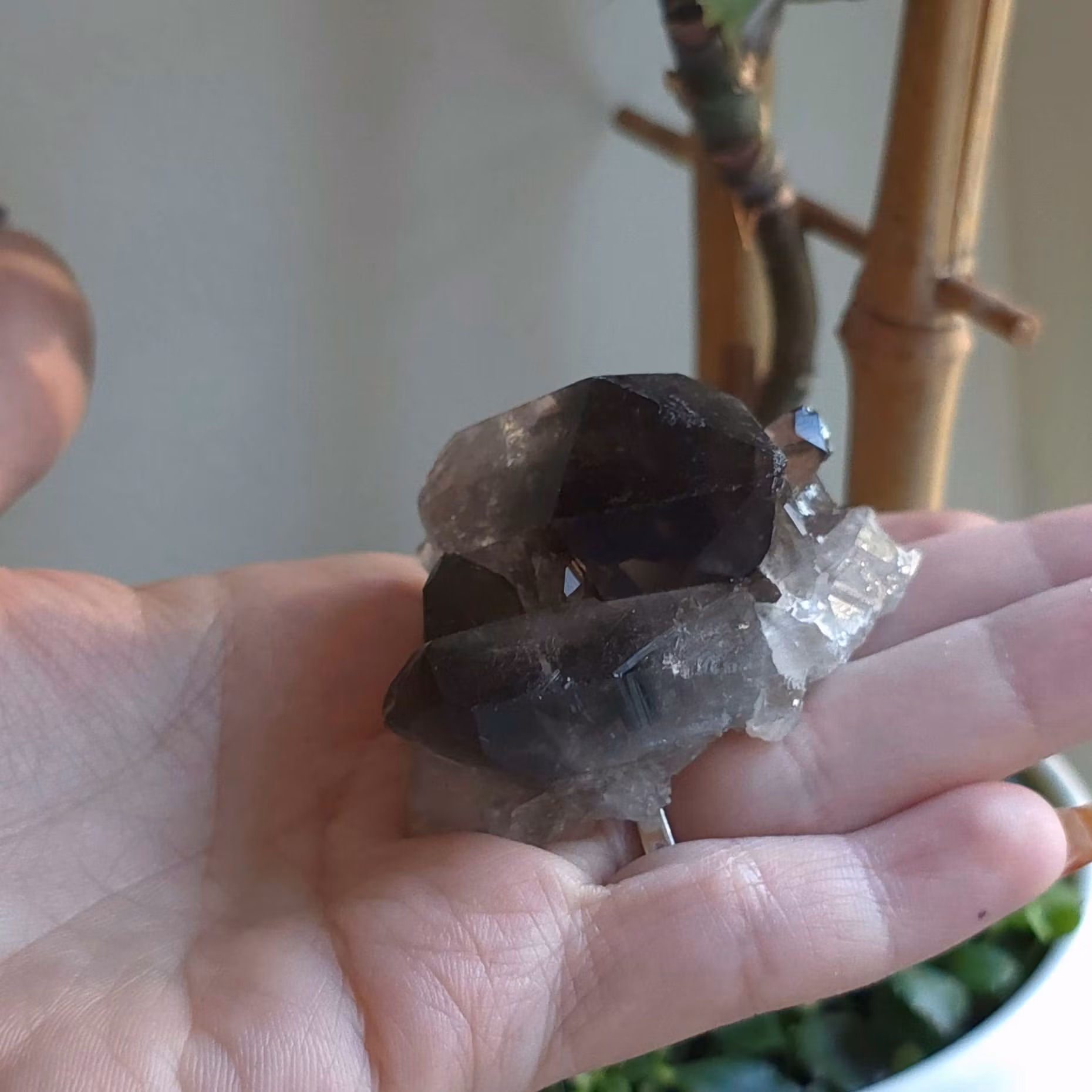 Rökkvarts Kluster 51 gram