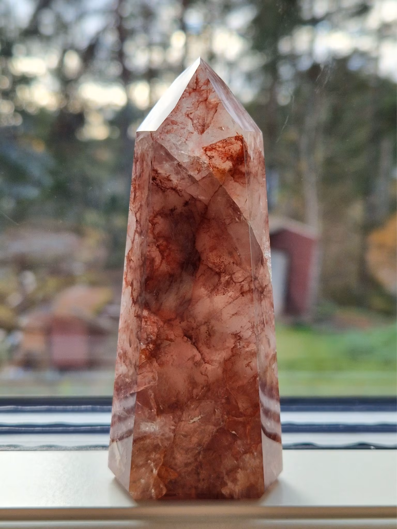 Unik Naturlig Red Golden Healer