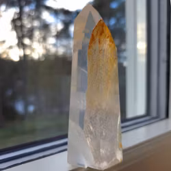 Golden Healer Transparent Spets, 336 gram